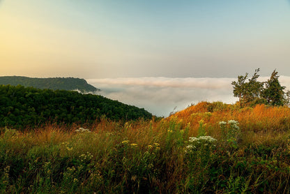 Morning Height Expanse