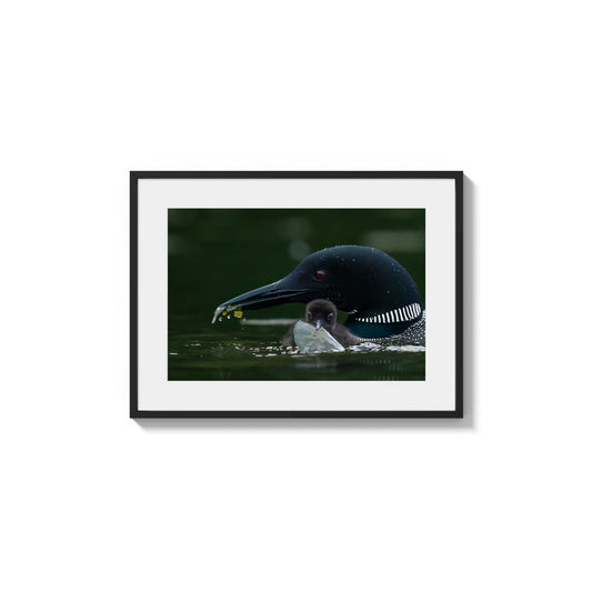 Nestling Sustenance Exchange