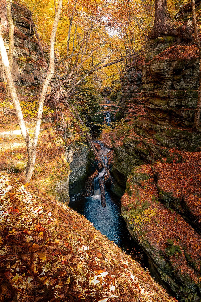Ravine Autumn Stream