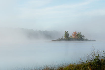 Red Foliage Diffusion
