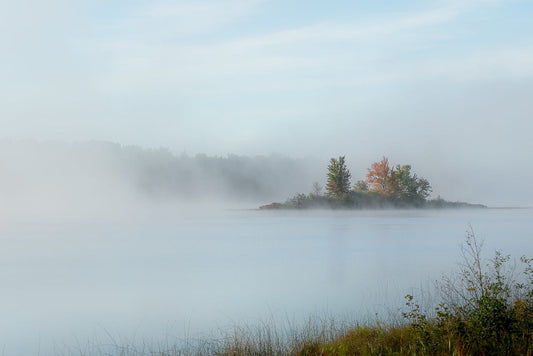 Red Foliage Diffusion