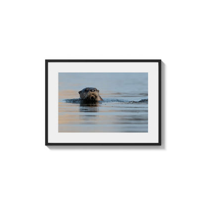 River Otter Portrait