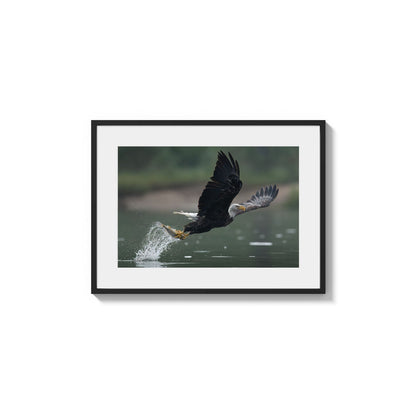 Splashing Pursuit Success