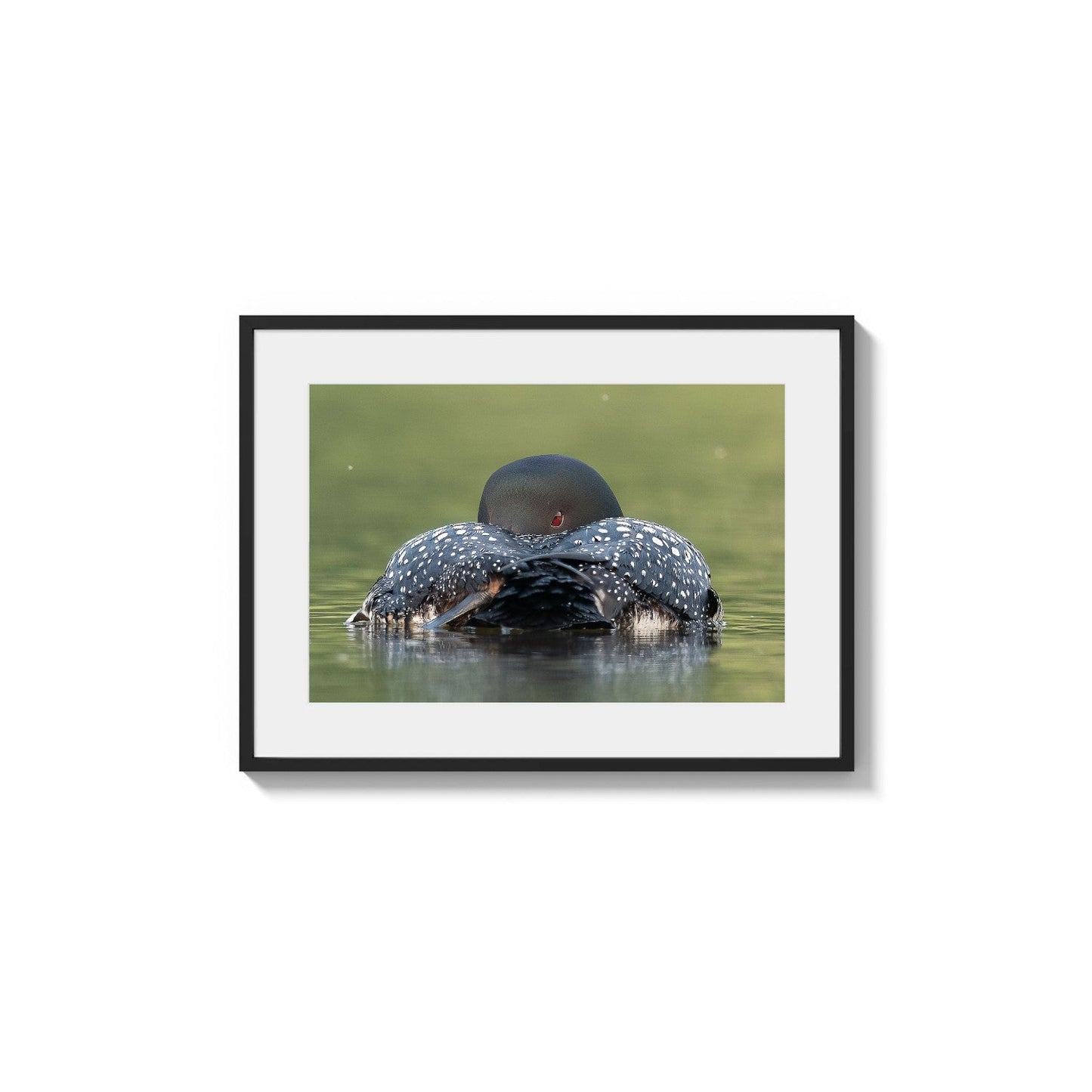 Spotted Pattern Slumber