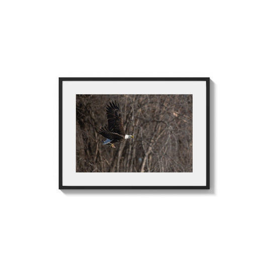 Triumphant Carrier of Fish