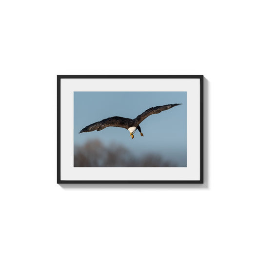 Wings Extended Banking