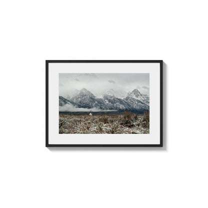 Winter Range Homestead