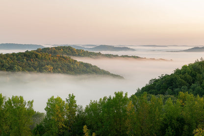 Woodland Rises Softly