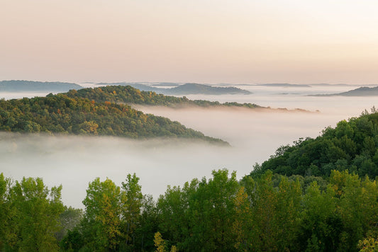 Woodland Rises Softly