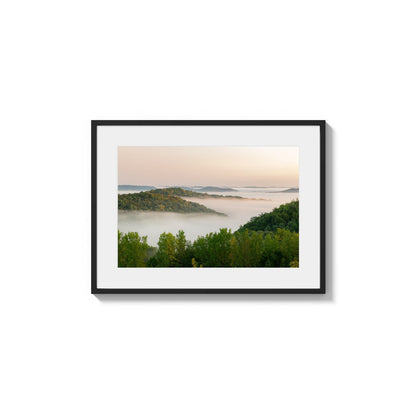 Woodland Rises Softly