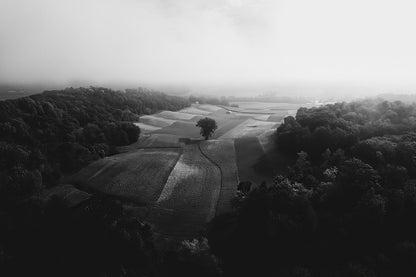 Cultivated Terrain Drama